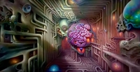 Tumbling through the spontaneous brain chamber