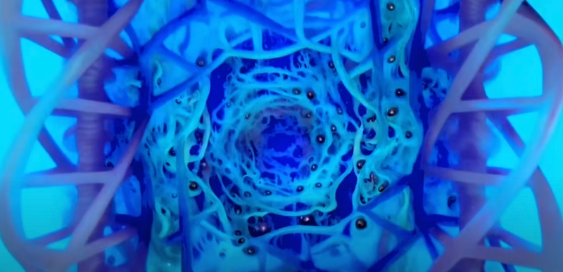 This is CephaloGod DNA btw.